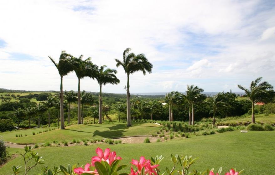Coconut Grove 1, Luxury Villa By Island Villas セントジェームス 部屋 写真