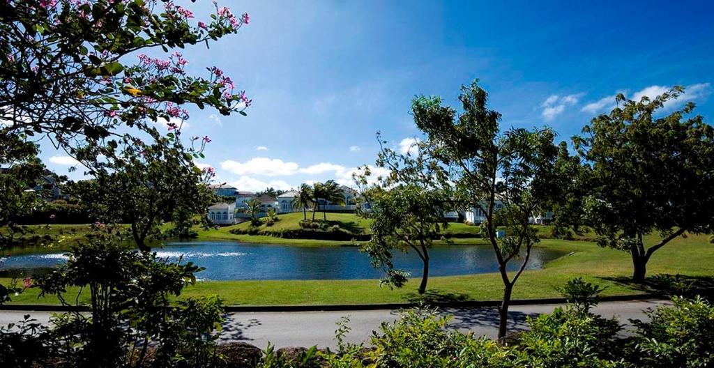 Coconut Grove 1, Luxury Villa By Island Villas セントジェームス エクステリア 写真